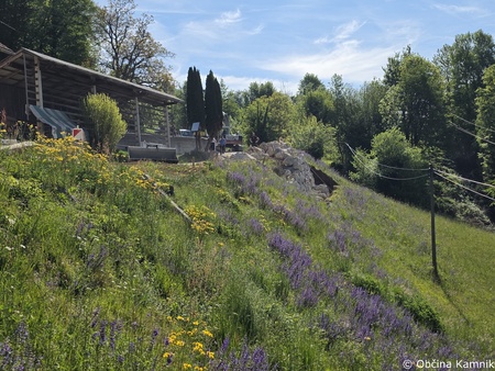 Sanacija cestišča Kamnik – Palovče – Vranja Peč (2)